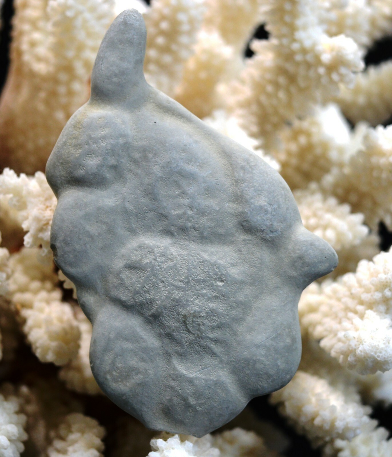 Stein Des Fées 69,6 Gramm Fluss Harricana, Quebec, Kanada eBay