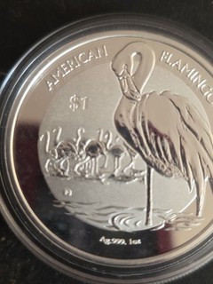 1 Dollar British Virgin Islands 2021 Amerikanischer Flamingo 1 OZ Silber Stgl