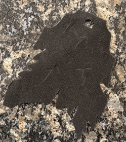 LEGO BIONICLE: Vezon & Fenrakk (8764) 100% Complete w/ Box & Manual