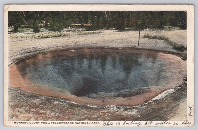 Morning Glory Pool Yellowstone National Park Postcard