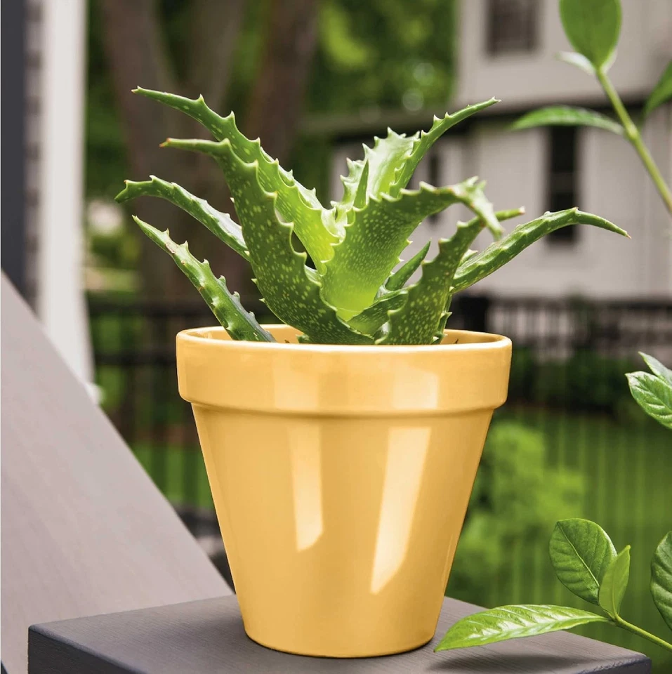 Krylon COLORmaxx K05504007 Spray Paint & Primer Gloss Bauhaus Gold 12 oz - Image 3 of 4