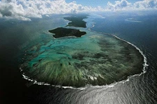 Nature Wall Art Oil style-Digital Download  Printable Photography-madagascar