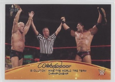 2015 Topps WWE Crowd Chants WOOOOOO! Evolution #5 8i5