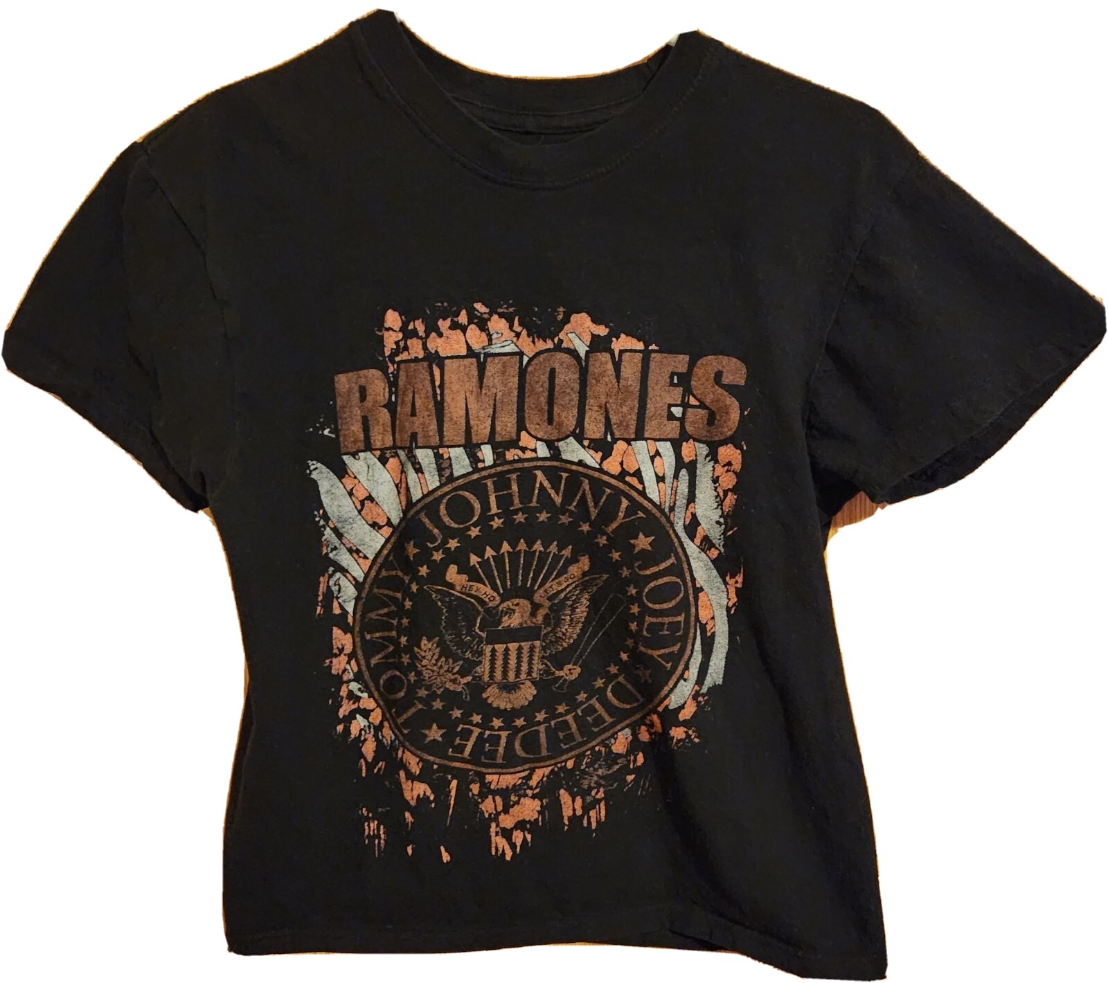 RAMONES Vintage Rock Band Logo Black T-Shirt - Medium