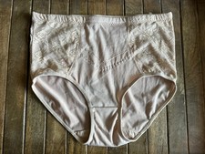 Vtg 1X Nude Beige Luxe Lacy Brief Slimmer Panties