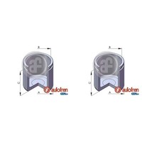 2X Autofren 54Mm Kolben Bremssattel Vorne Passend FüR CitroËN Berlingo Xsara FIA