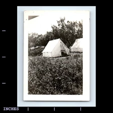 Old Vintage Photo TENT IN FIELD