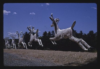 Photo:Santa's #1 reindeer view 2, Magic Forest, Lake George, New York