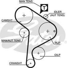 Courroie de distribution Seat CORDOBA