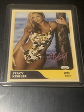 2026 WWE Divas  Stacy Keibler Lingerie Tiger Flower Bikini @ Beach Sexy Card  🔥