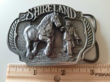 Shireland Belt Buckle 3 1/4 inches long , 1987