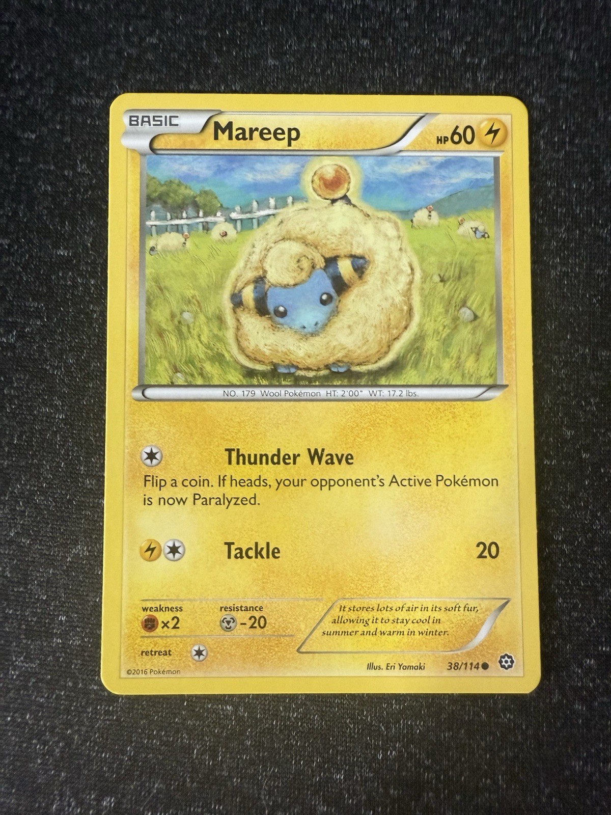 Mareep 38/114- Steam Siege- Regular Common- LP