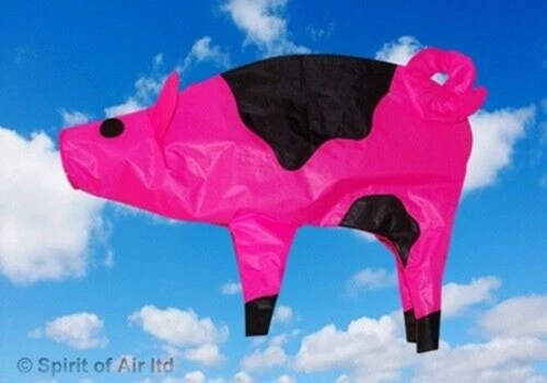 Spirit of Air Pig Windsock looks fantastic on a pole