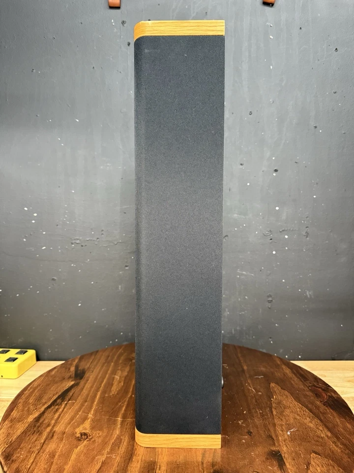 Altavoz de estantería Vandersteen VSM monitor envolvente (individual) Foto 4 de 4