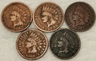 5 DIFFERENT Indian Head Cent Penny Lot Coins- 1 Will Be From The 1800s - #46