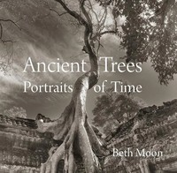 Ancient Trees | Portraits Of Time | Beth Moon | Buch | Gebunden | Englisch