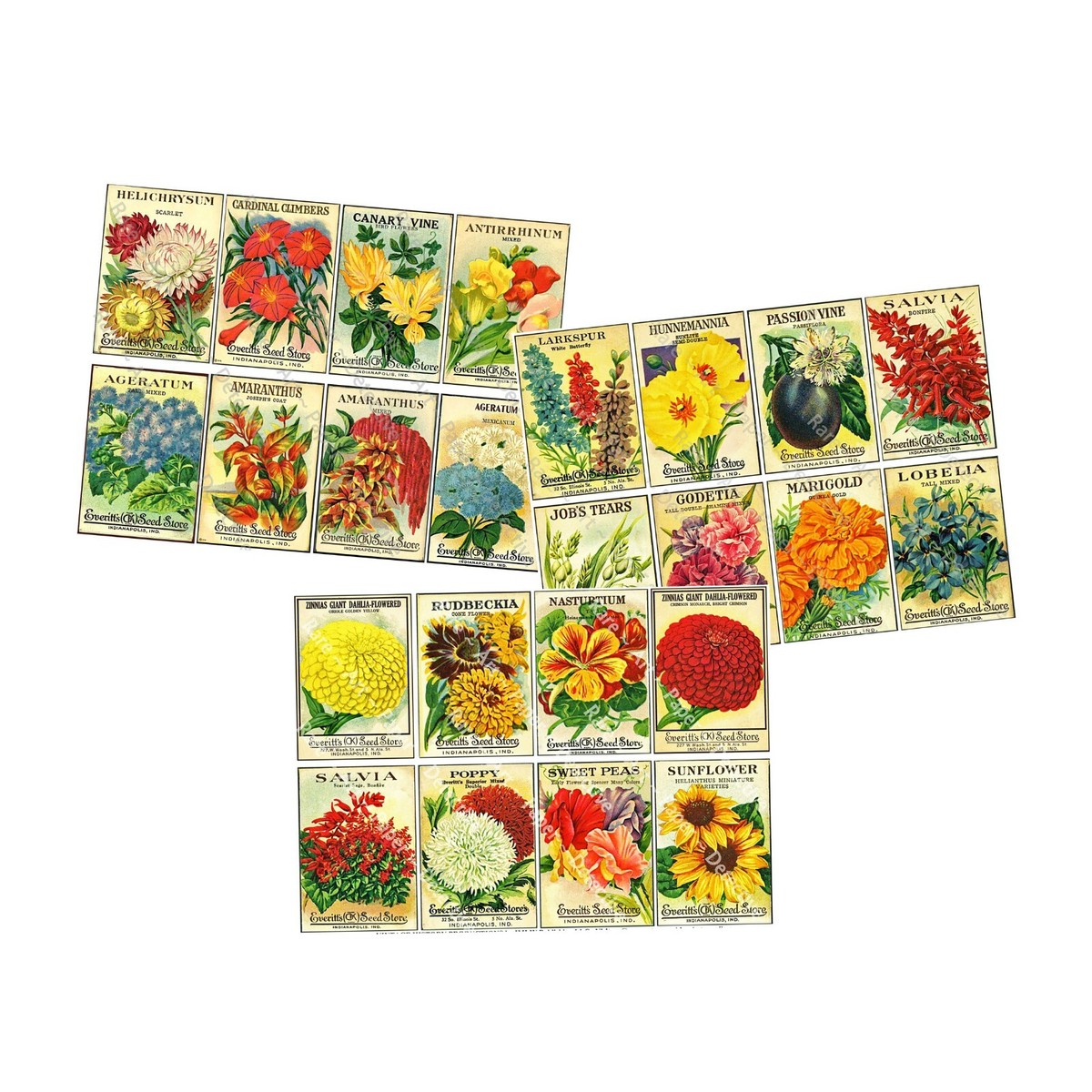 Seed Packet & Gardening Gifts, Garden Sticker Reproductions
