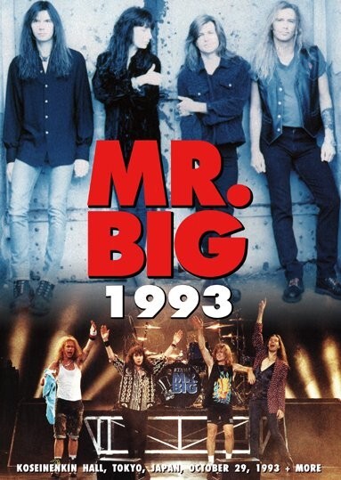 MR.BIG - 1993 (1DVDR+1CDR) | eBay