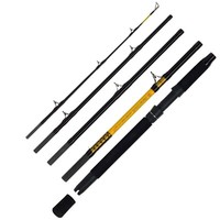 Wft Never Crack Catfish Boat Ltc 2,60M 200-1000G 5 Teile Welsrute Reiserute
