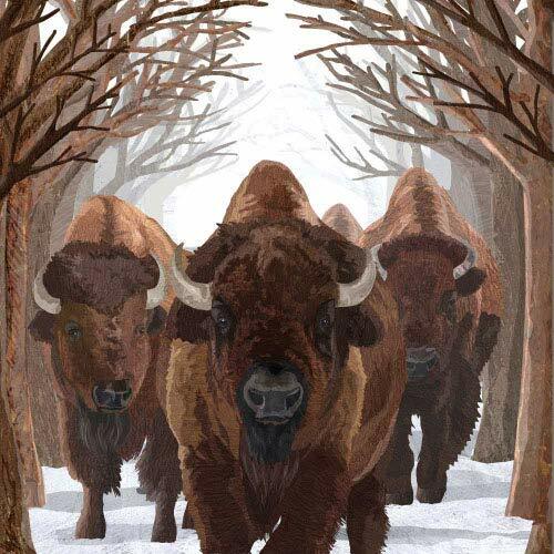 Paperproducts Design Buffalo Passage Beverage Napkin 5 x 5 Multicolor 2390₽