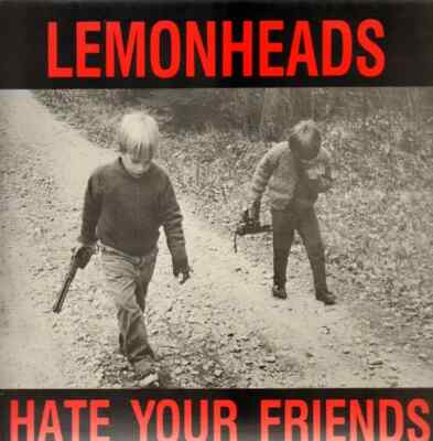The Lemonheads Hate Your Friends NEAR MINT Taang Records Vinyl LP