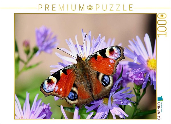 Calvendo Puzzle The Beauty Of A Butterfly | 1000 Pieces, Finished Size 25.2 × 18-image