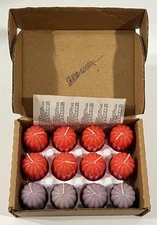 Home Interiors Votive Candles ~ Box of 12 ~ Citrus Peach 1121-3 ~ NOS