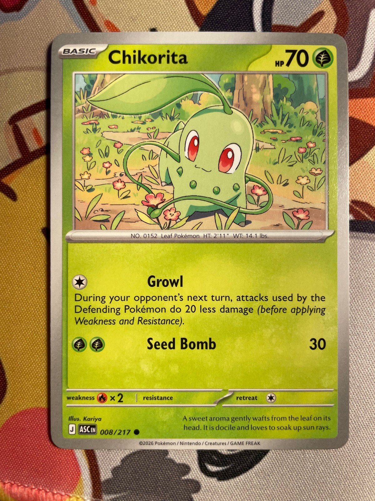 Start Deck 100 Battle Collection #016/742 Chikorita