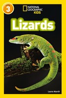Lizards | Level 3 | Laura Marsh (U. A.) | Taschenbuch | Kartoniert / Broschiert
