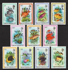 Montserrat 1981 - SG O42-O52 - Fish - OHMS - Officials - Elizabeth II - MM SET