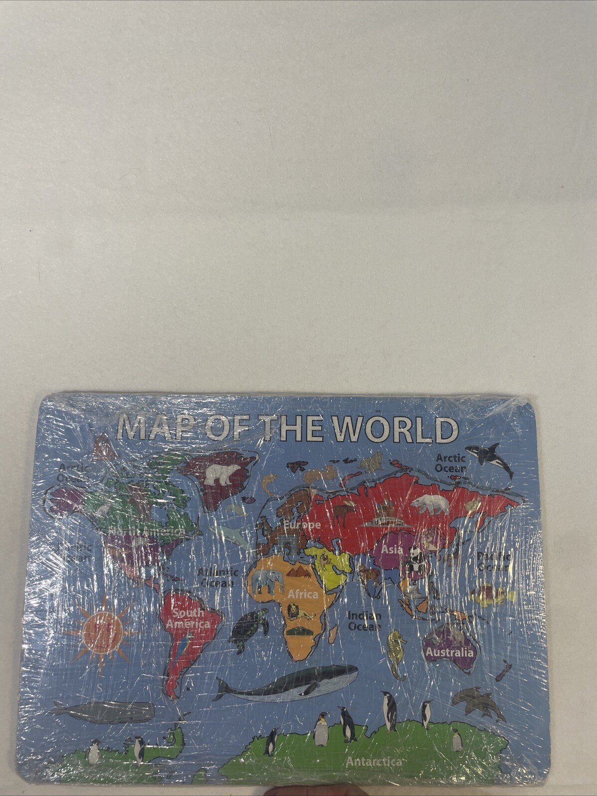 Wooden Puzzle Map Of The World 9 Pieces Kids Educational, Learning Toy