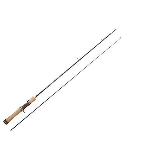 Tenryu 20 Rayz RZ542B-L Baitcasting Rod for Trout