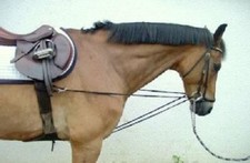 elropet&reg; Dreiecksz&uuml;gel Wiener Z&uuml;gel Laufferz&uuml;gel Warmblut/Vollbl