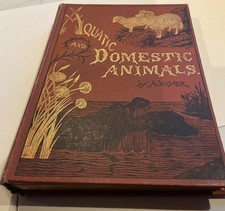 Alfred Romer Anecdotal and Descriptive Natural History 1877 Illustrated