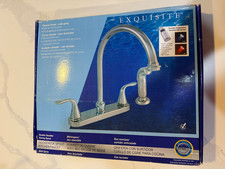 Exquisite Gooseneck Spout Kitchen Faucet