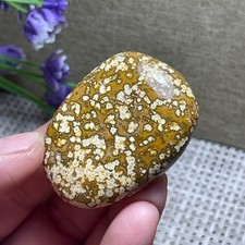 Natural marine Jasper Ocean Stone raw stone rock polished Mineral Specimen A41