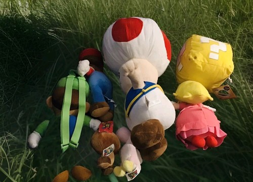 Super Mario Bros Nintendo PEACH TOAD MARIO Plush & Light Up Backpack 8pc Lot - Picture 5 of 7