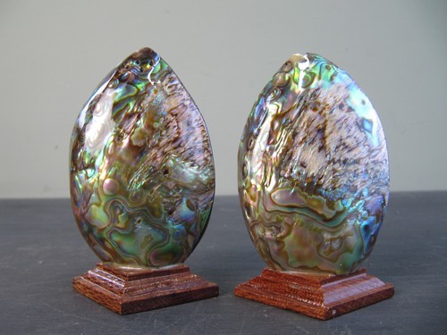 New Zealand Paua Shell Salt and Pepper Shakers -Native Wood Base Handmade Craft - Picture 6 of 8