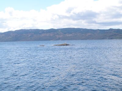 Foto 6x4 kleiner Felsvorsprung in Loch Fyne von Caisteal Aoidhe Portavadi c2010