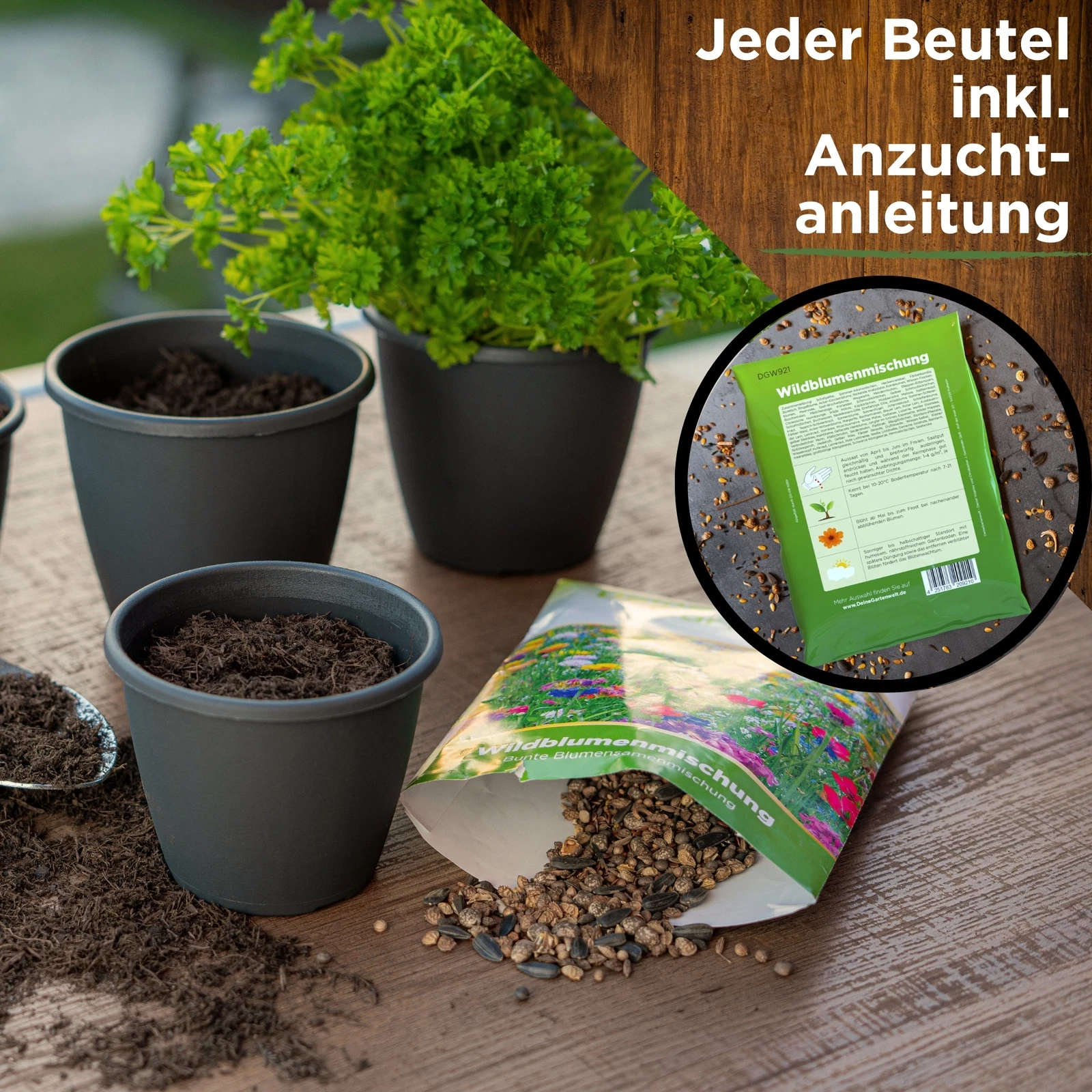 Bild 4 von 7