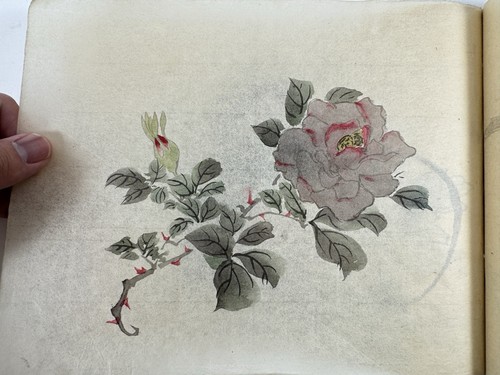 Japanese Rare Book “Shasei-cho” Illustrations of animals, fish and plants - Picture 9 of 20