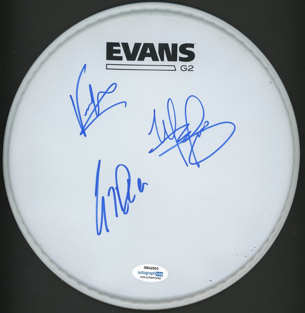 SEVENDUST LAJON WITHERSPOON SIGNED AUTOGRAPHED DRUMHEAD SEVENDUST LAJON WITHERSPOON SIGNED AUTOGRAPHED DRUMHEAD