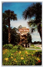 Silver Springs FL Florida Entrance Advertising Sign Chrome Postcard Posted 1971