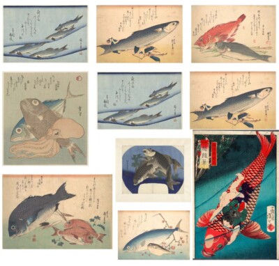 Japanischer Holzschnitt Fisch Drucke VINTAGE Bild Goldfisch Koi Karpfen Wandposter