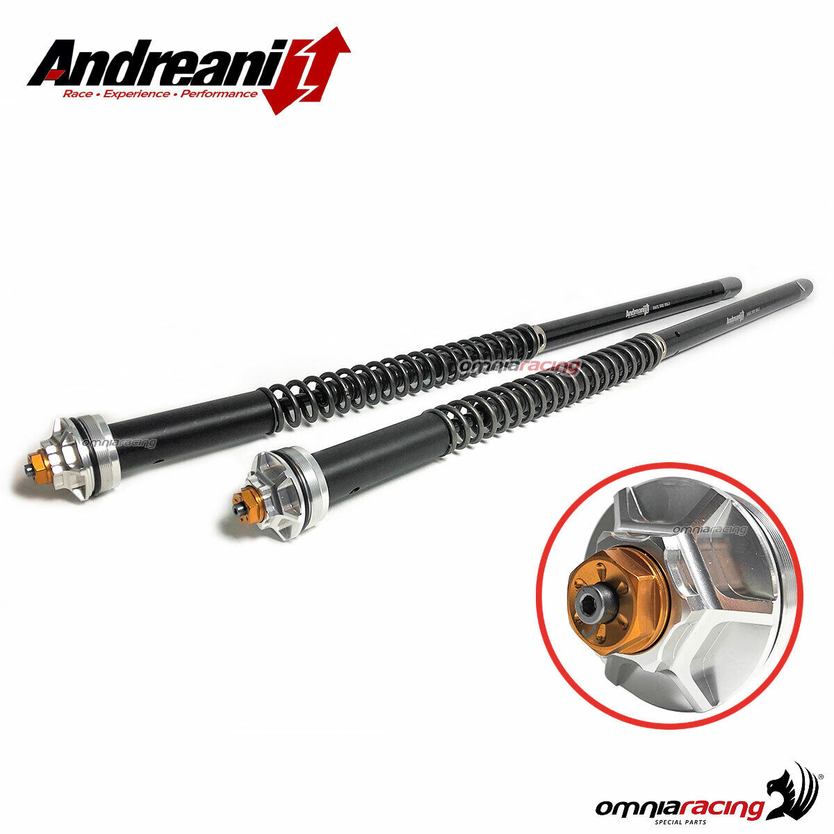 Andreani Misano Evo cartridges for 45 off-r BMW Marzocchi Our shop most popular F800GS Many popular brands