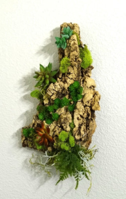 Artificial Succulent Air Plant  Wall Art Home Office Mounted on Real Wood Bark