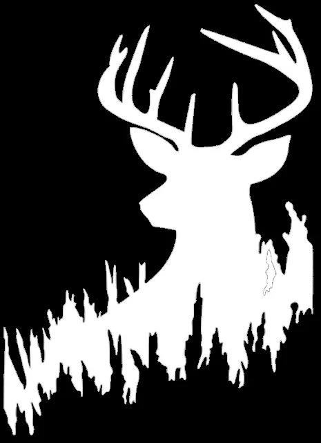 Calcomanía de ciervo cola blanca - camión de caza, computadora portátil, pegatina de parachoques varios tamaños Foto 3 de 4