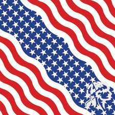 Zan Bandanna USA Wavy - USA Flag B005