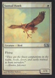 Suntail Hawk - Magic 2014 (M14) #40 Common