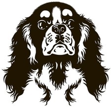 adesivo cane sticker prespaziato venile pellicola cavalier king cucciolo